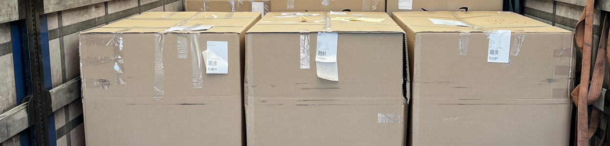 Paleta Amazon - jak wygląda?